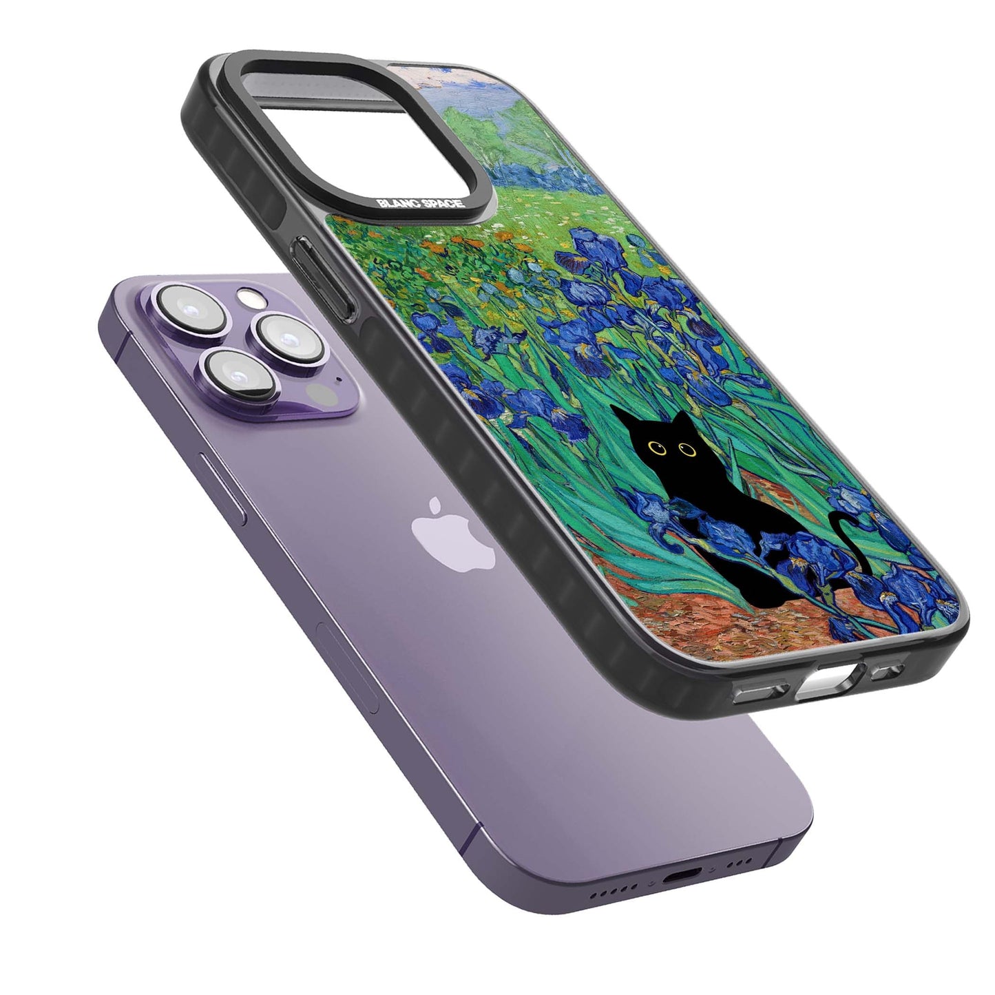 Le chat dans les Iris de Van Gogh