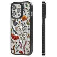 Insectes et fleurs sauvages