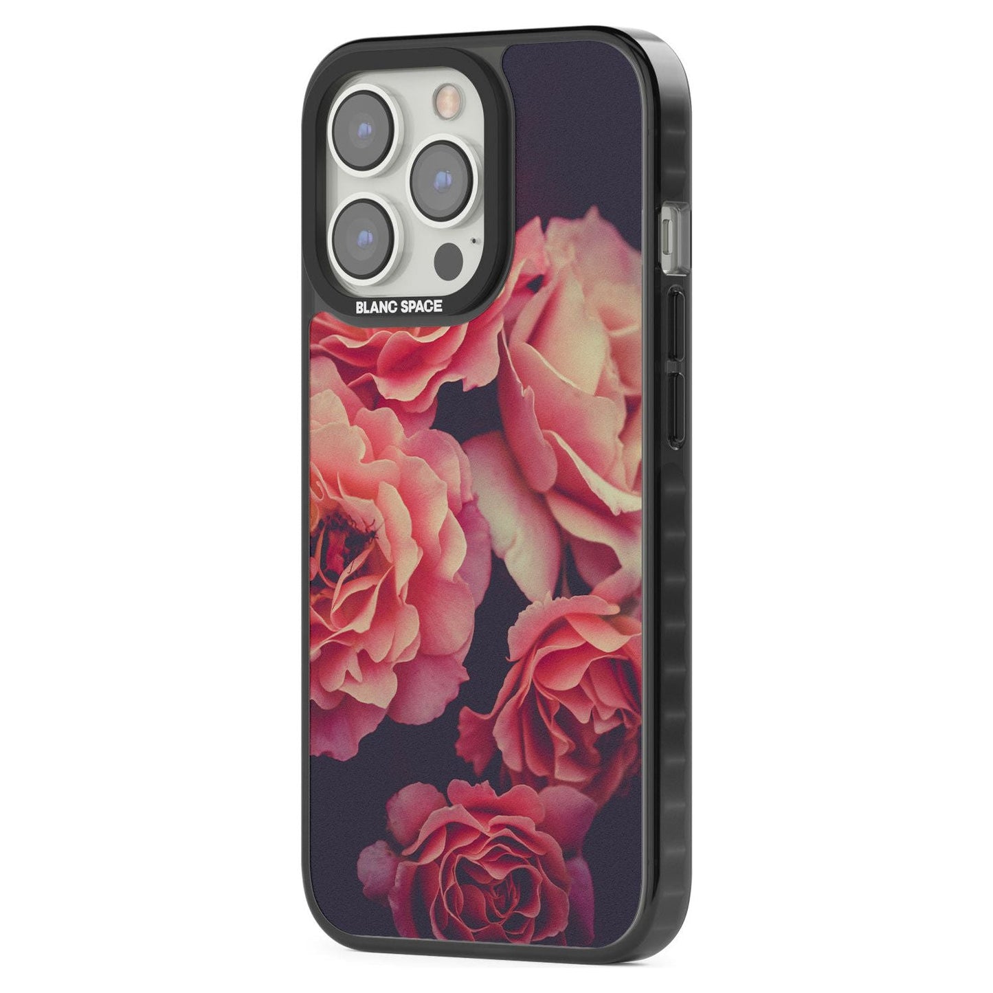 Mitternachtsrosenblüte