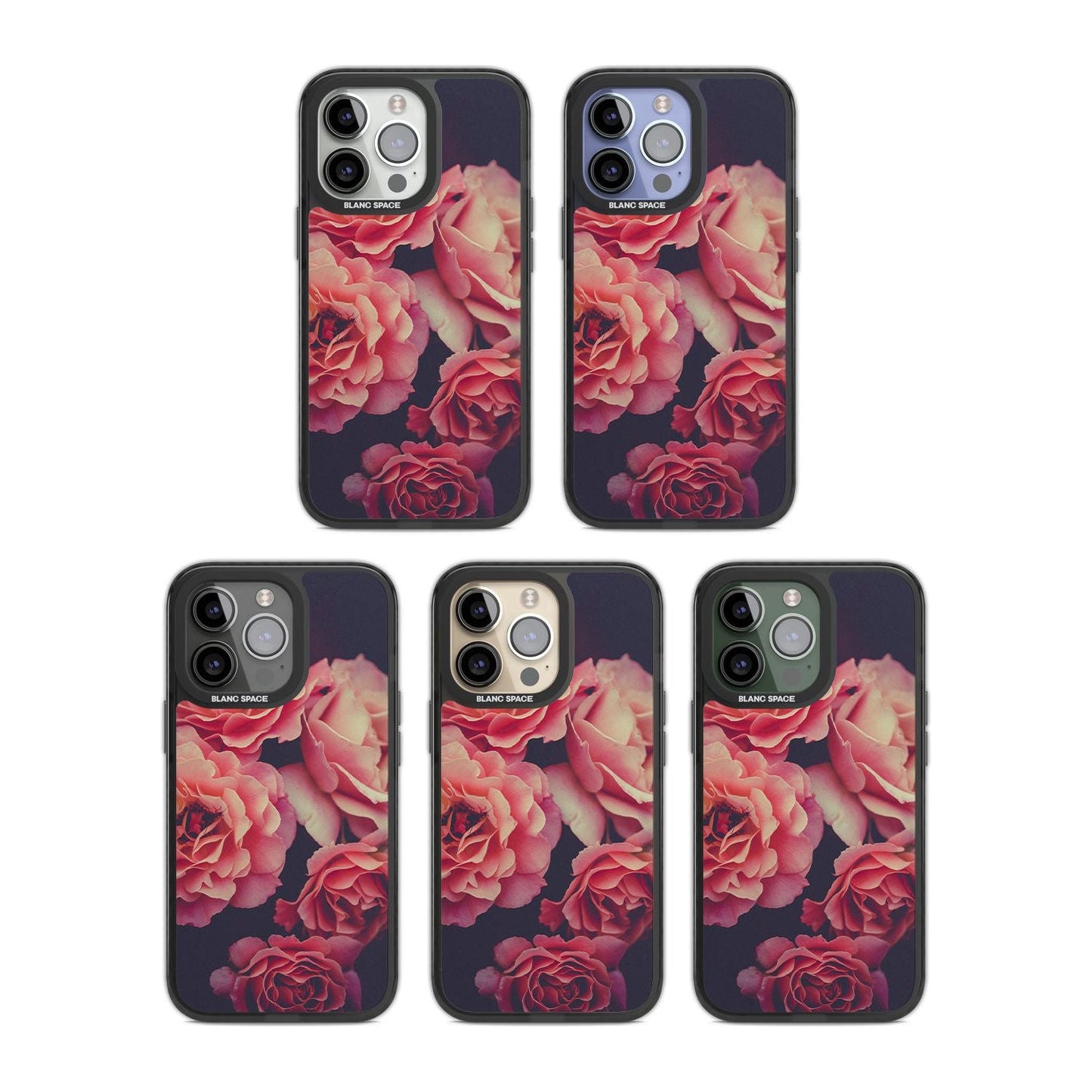 Mitternachtsrosenblüte