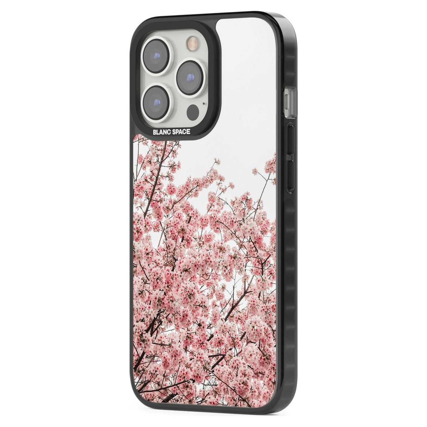 Cherry Blossom Bloom