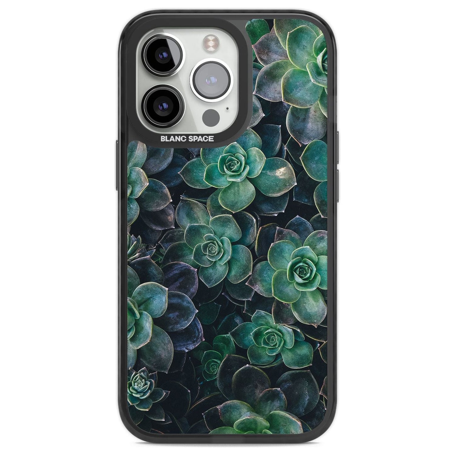 Succulent Bloom Botanical