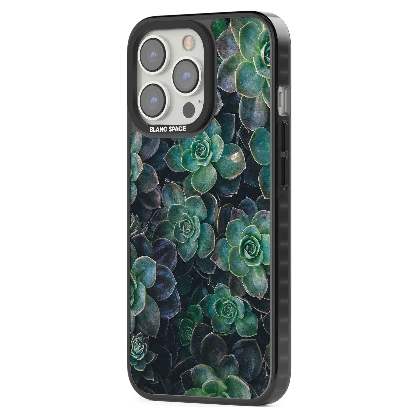 Succulent Bloom Botanical