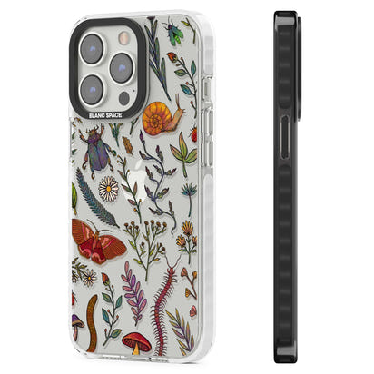 Insectes et fleurs sauvages