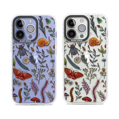 Insectes et fleurs sauvages