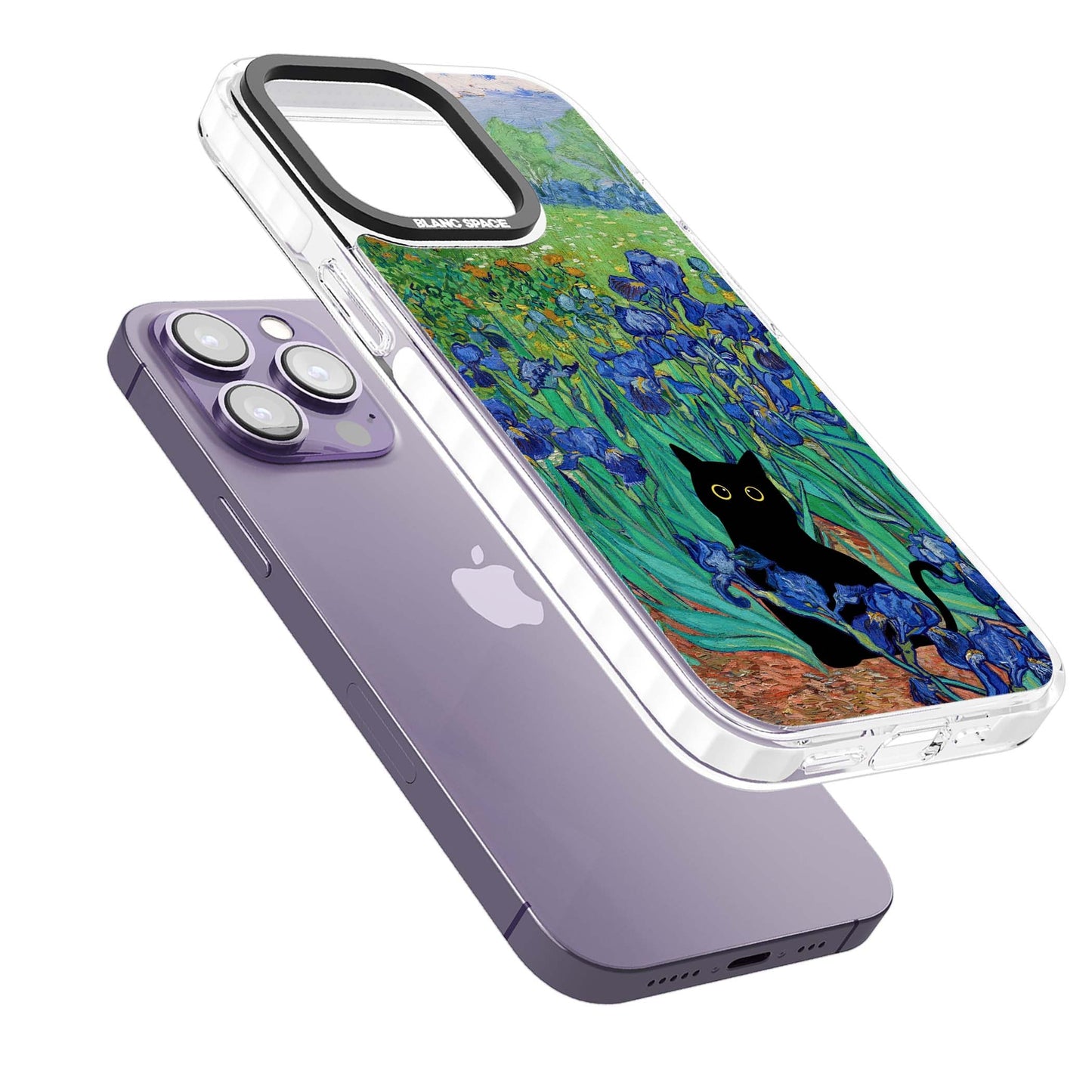 Le chat dans les Iris de Van Gogh