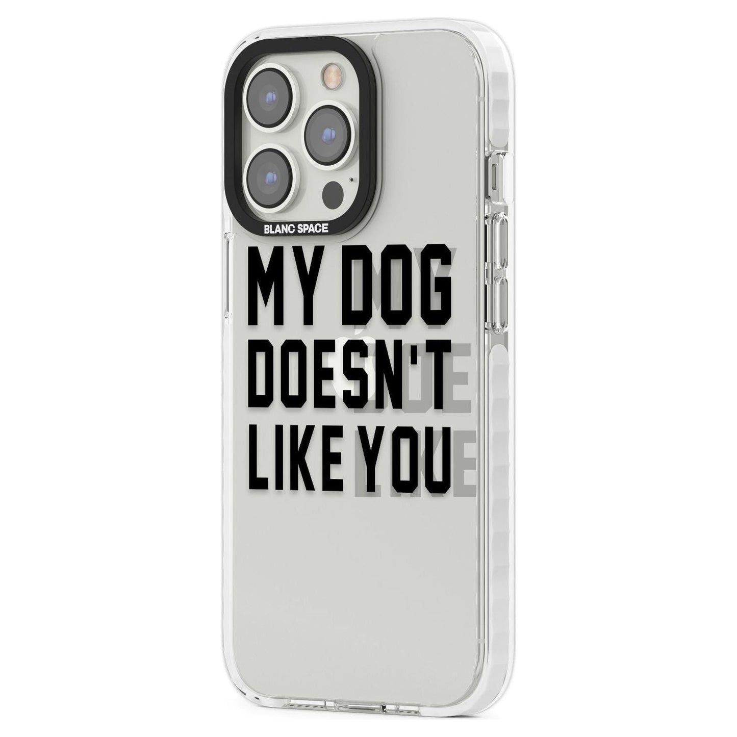 My Dog Doesn'T Like You