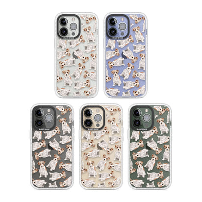 Jack Russell à poil dur fantaisiste