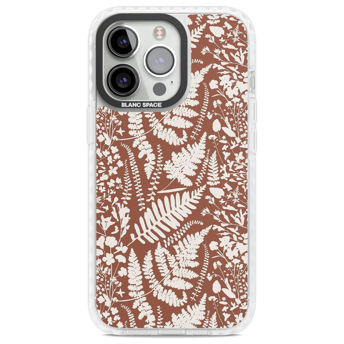 Fleurs sauvages et fougères sur terre cuite