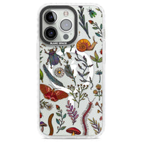 Insectes et fleurs sauvages