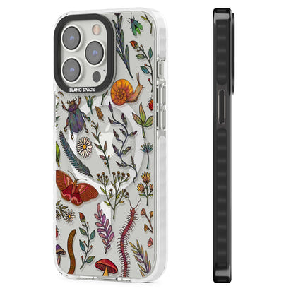 Insectes et fleurs sauvages