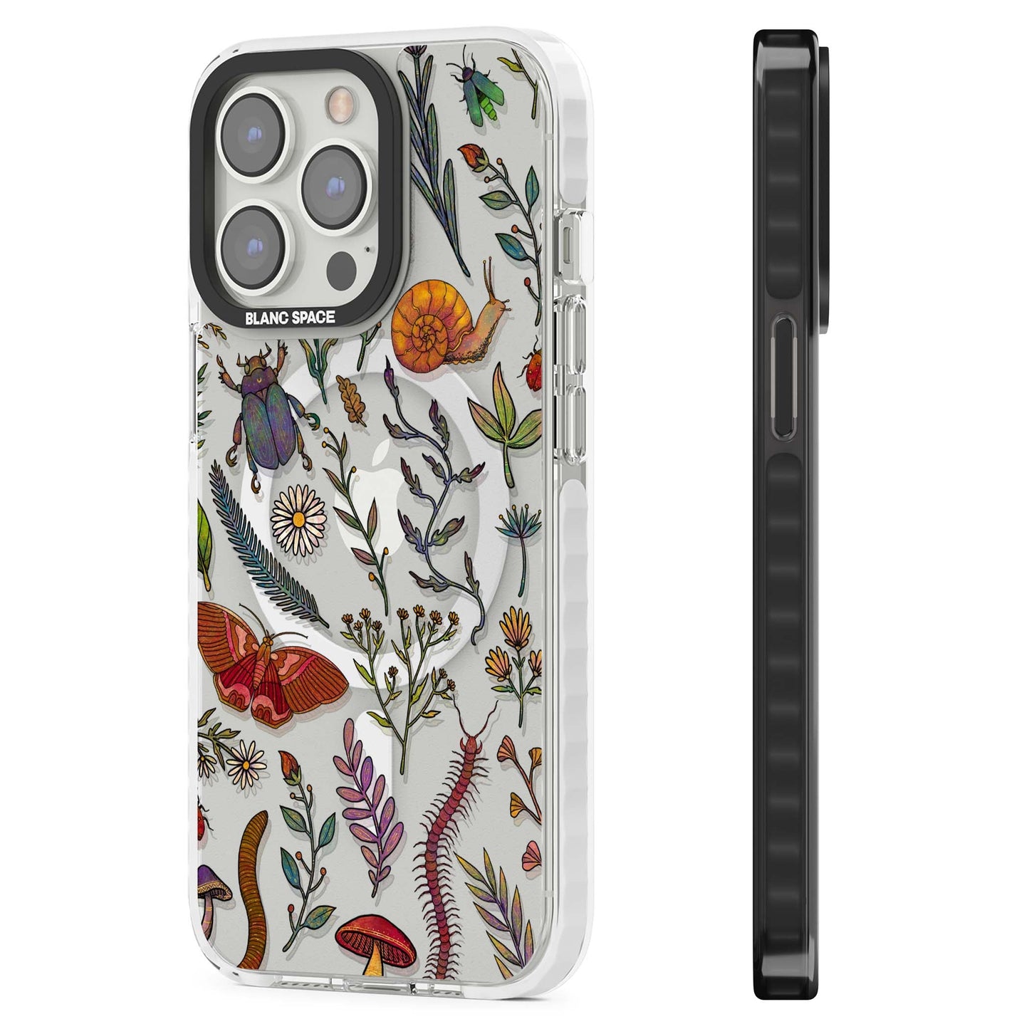 Insectes et fleurs sauvages