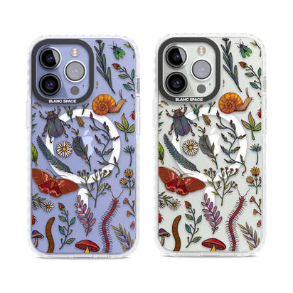 Insectes et fleurs sauvages