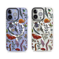 Insectes et fleurs sauvages