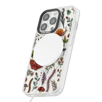 Insectes et fleurs sauvages