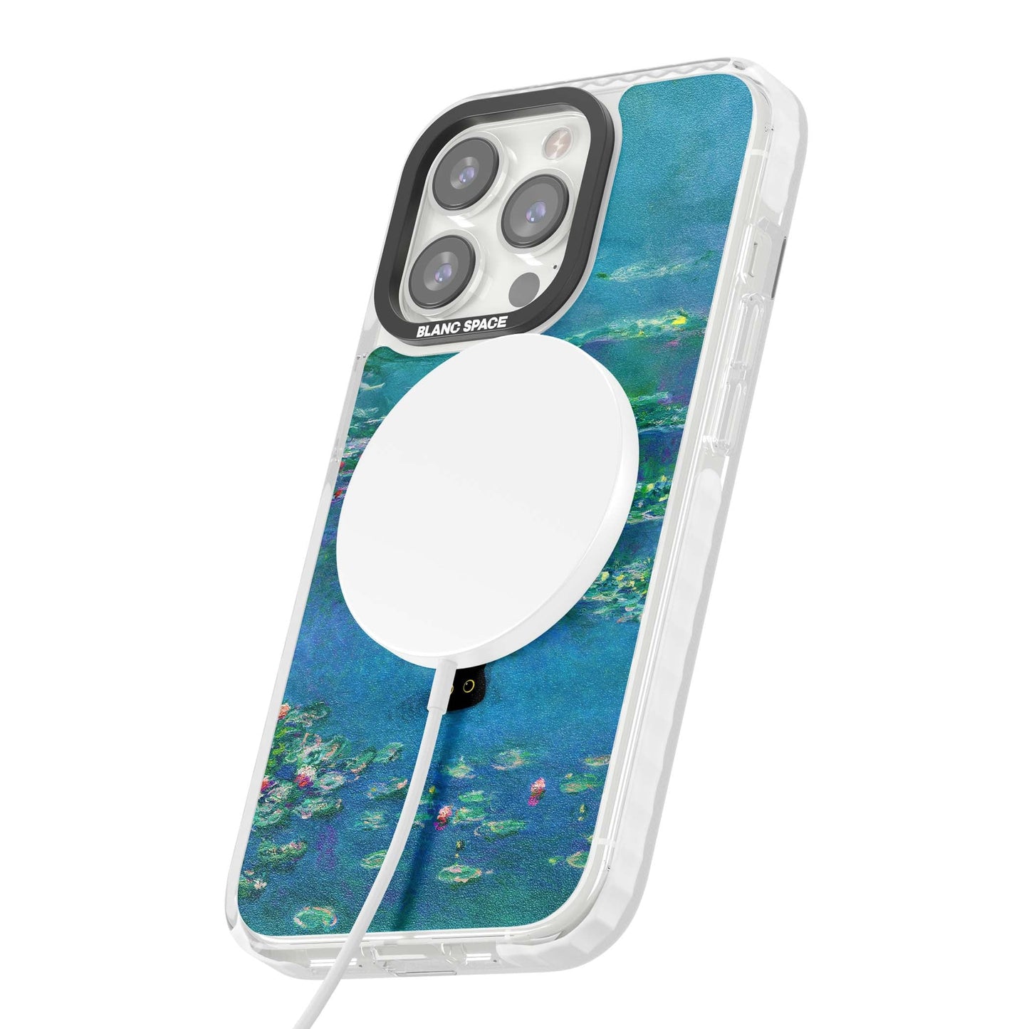 Cat in Monet's Water Lillies