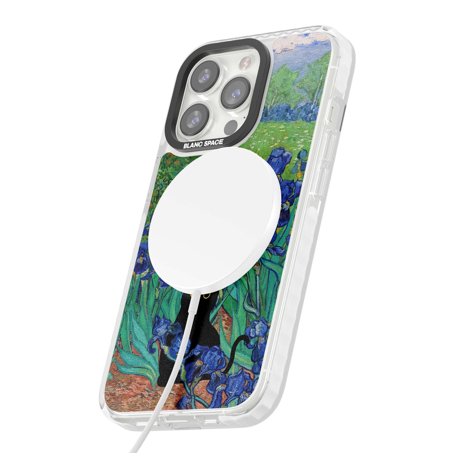 Le chat dans les Iris de Van Gogh