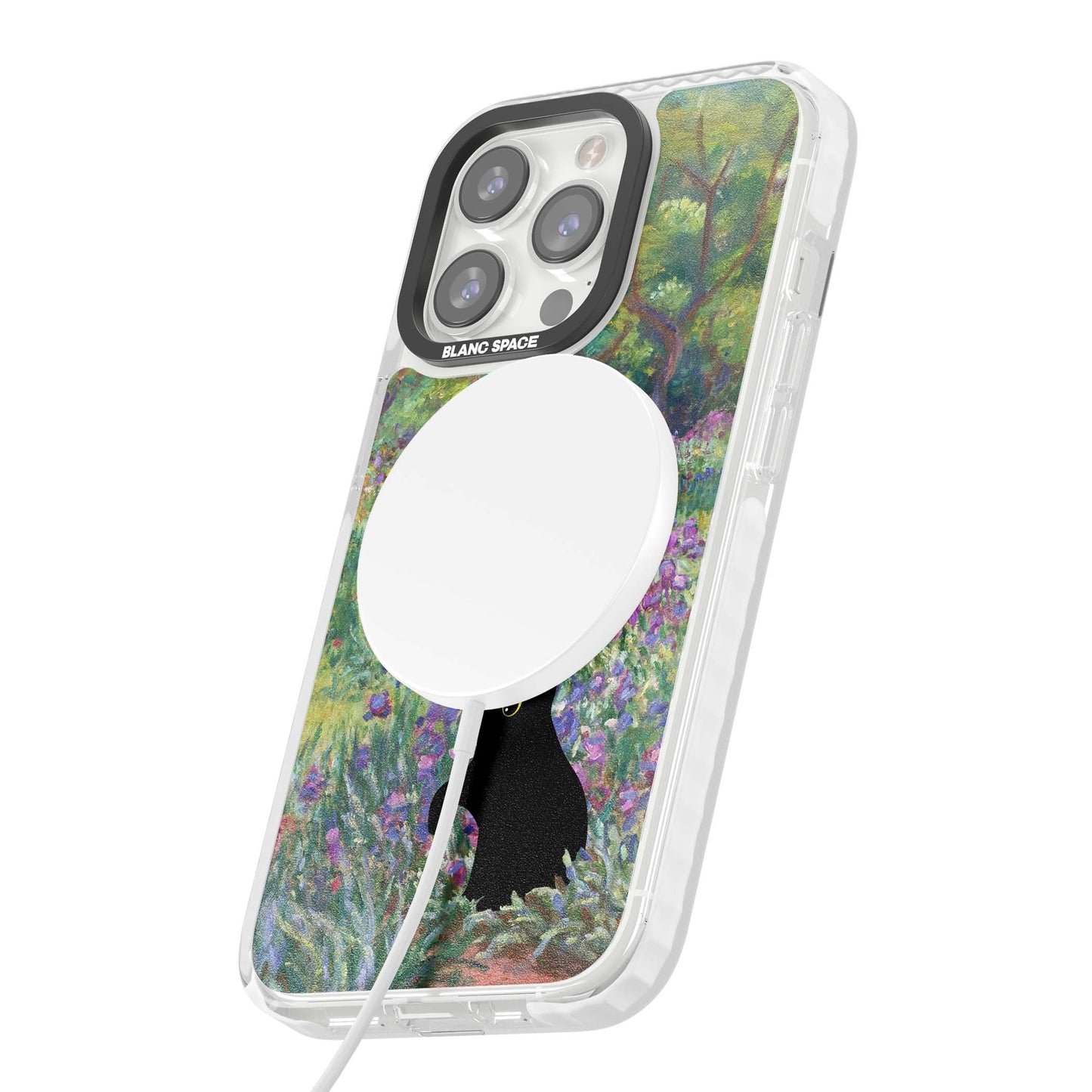 Cat in Monet's Giverny Garden