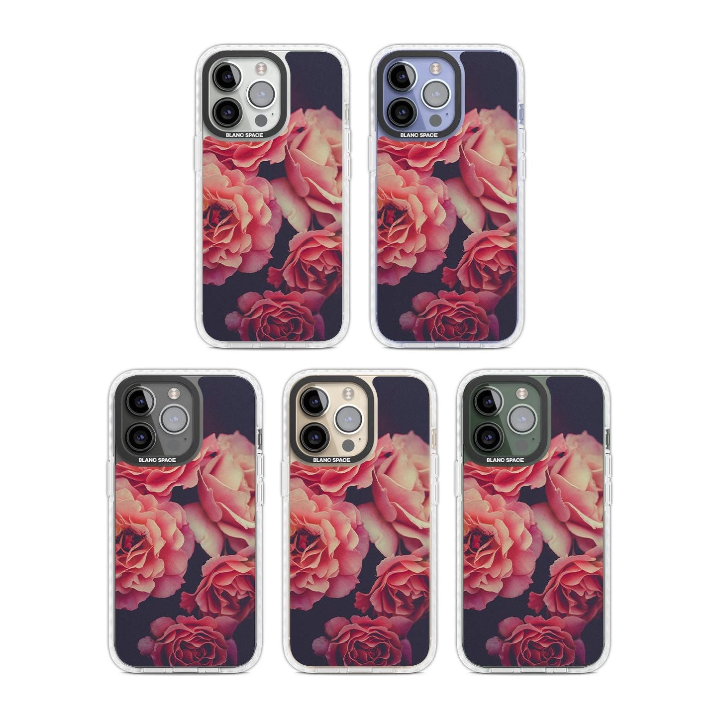 Mitternachtsrosenblüte