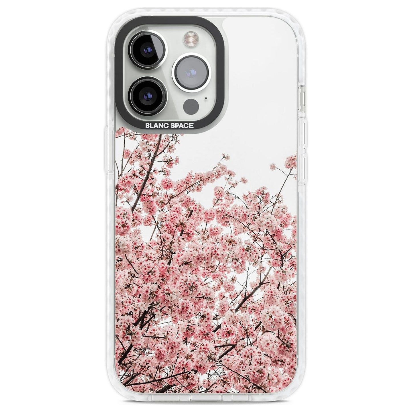 Cherry Blossom Bloom