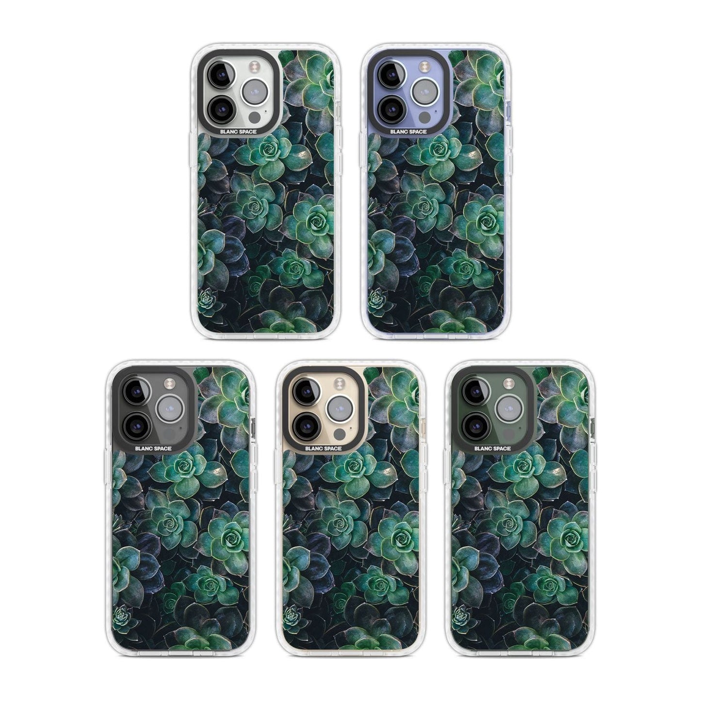 Succulent Bloom Botanical