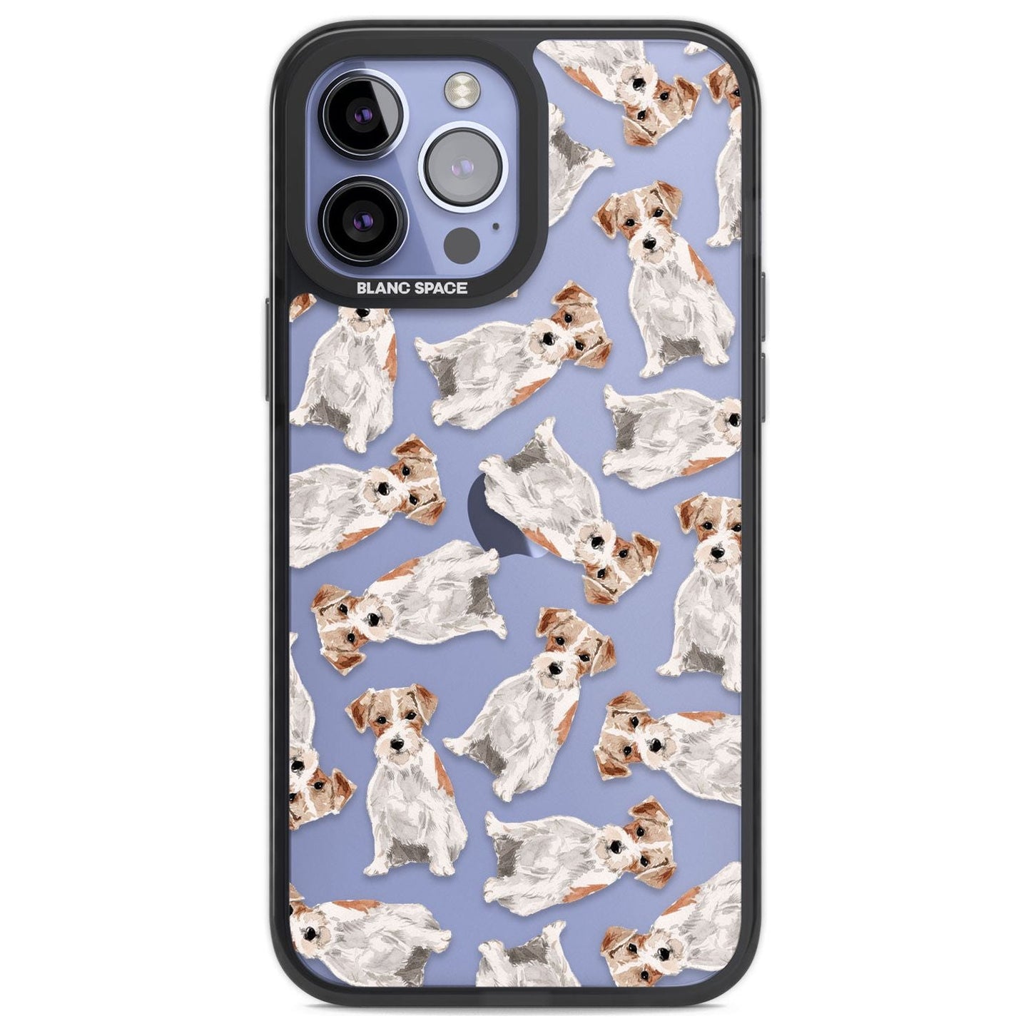 Jack Russell à poil dur fantaisiste