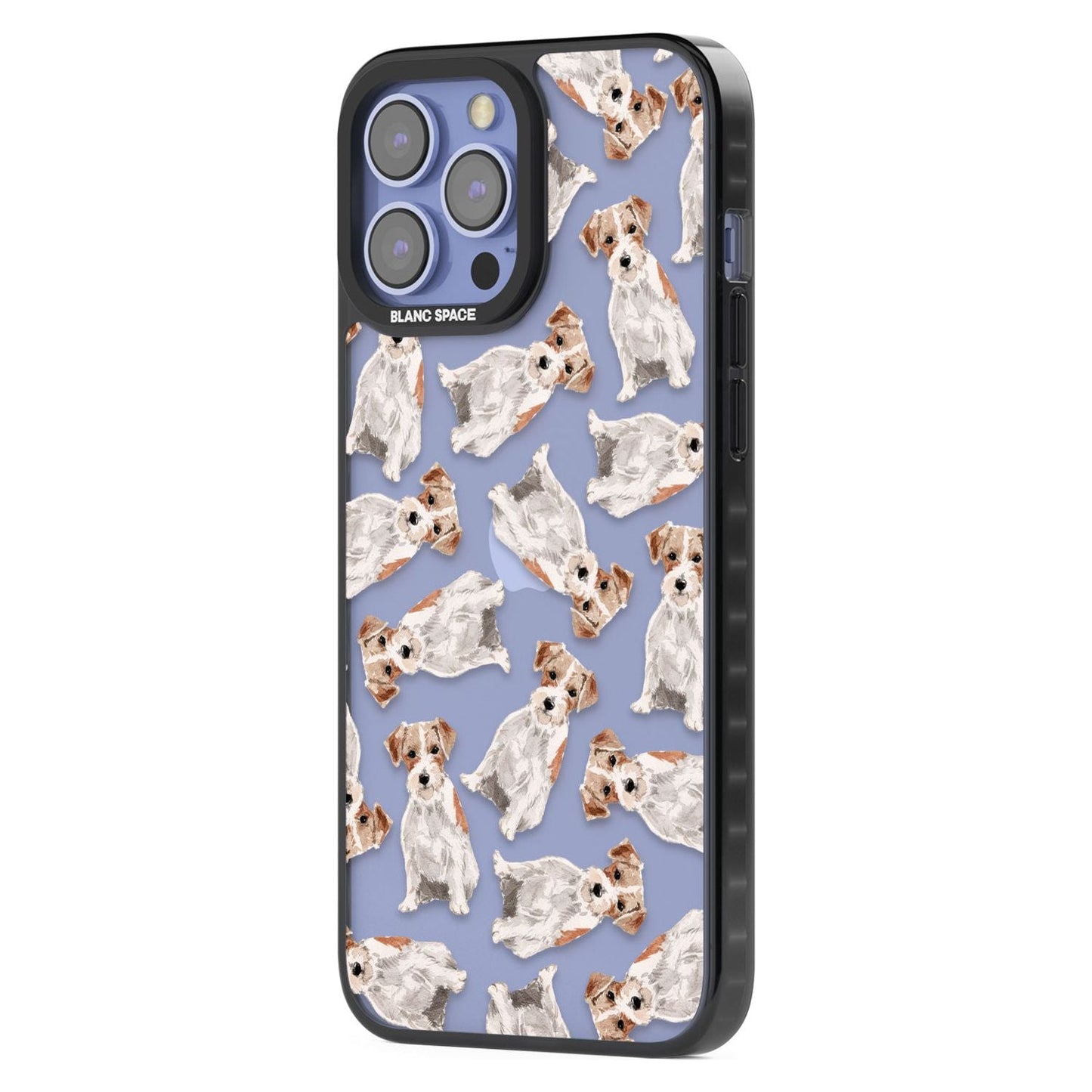 Jack Russell à poil dur fantaisiste