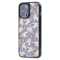 Jack Russell à poil dur fantaisiste