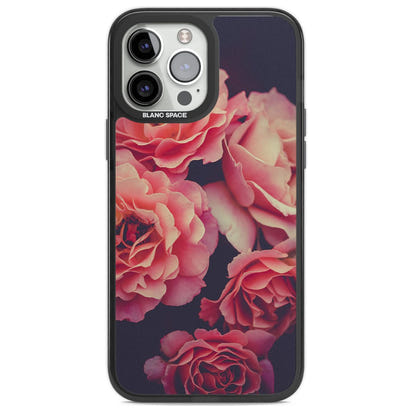 Mitternachtsrosenblüte