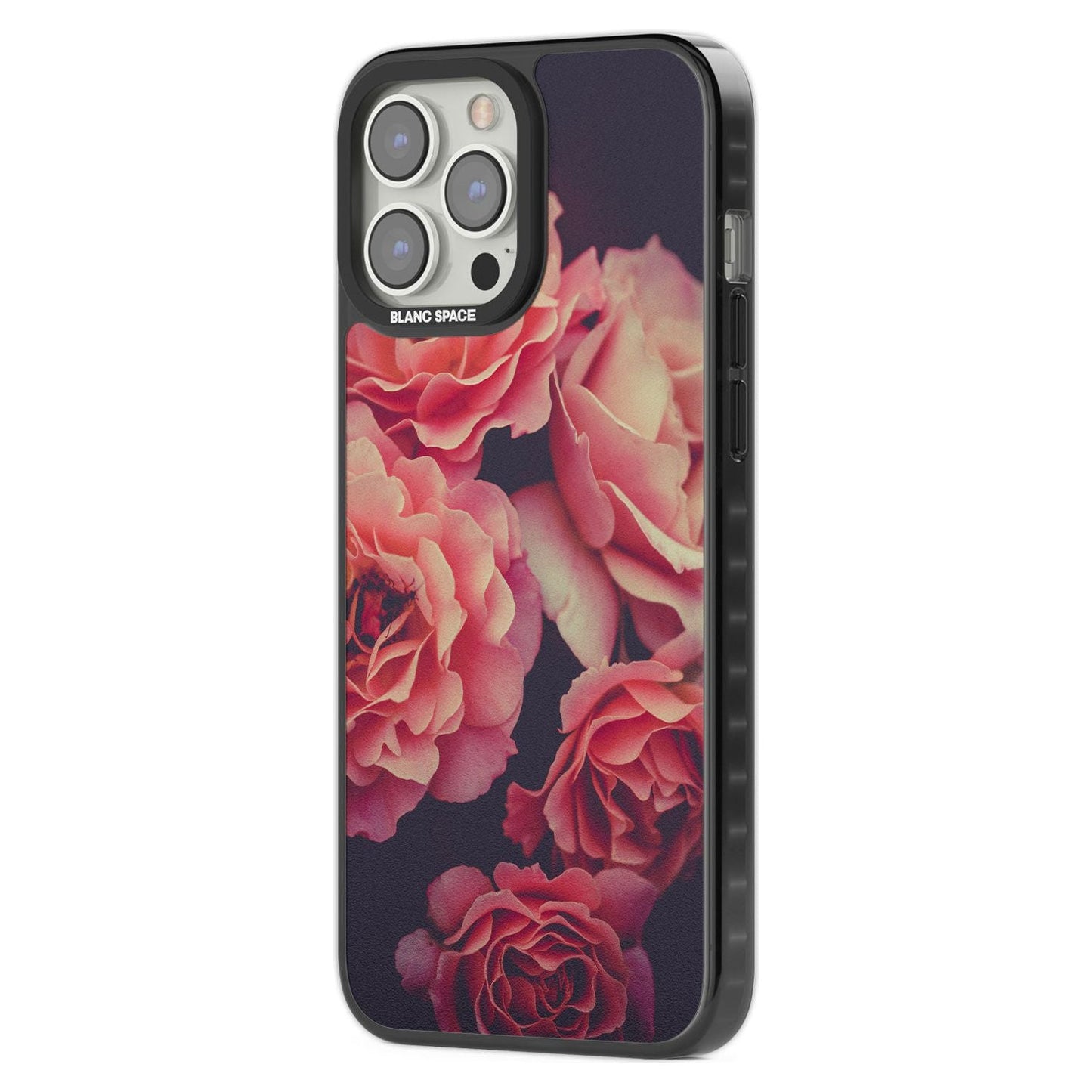 Mitternachtsrosenblüte