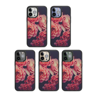 Mitternachtsrosenblüte