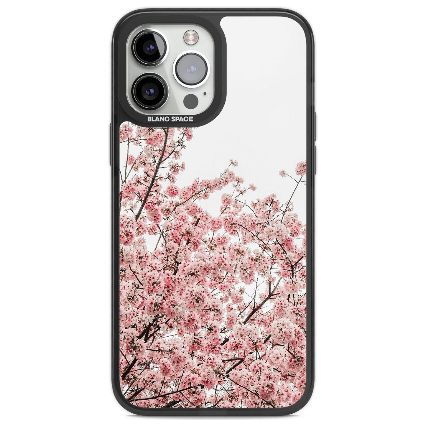 Cherry Blossom Bloom