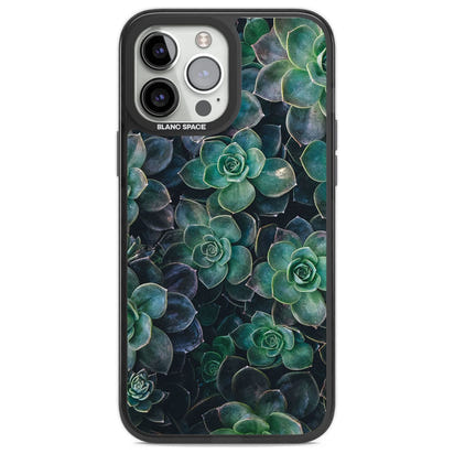 Succulent Bloom Botanical