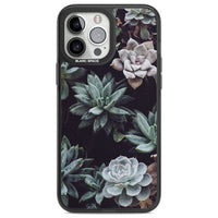 Succulent Bloom Mixed