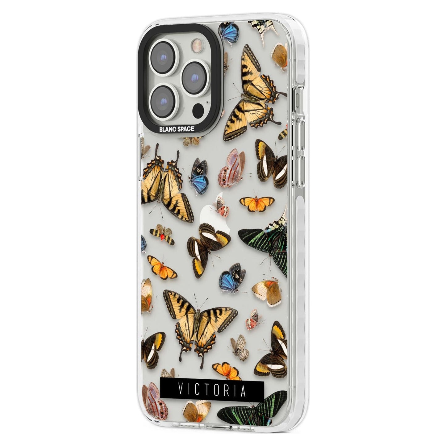 Archives de papillons personnalisées