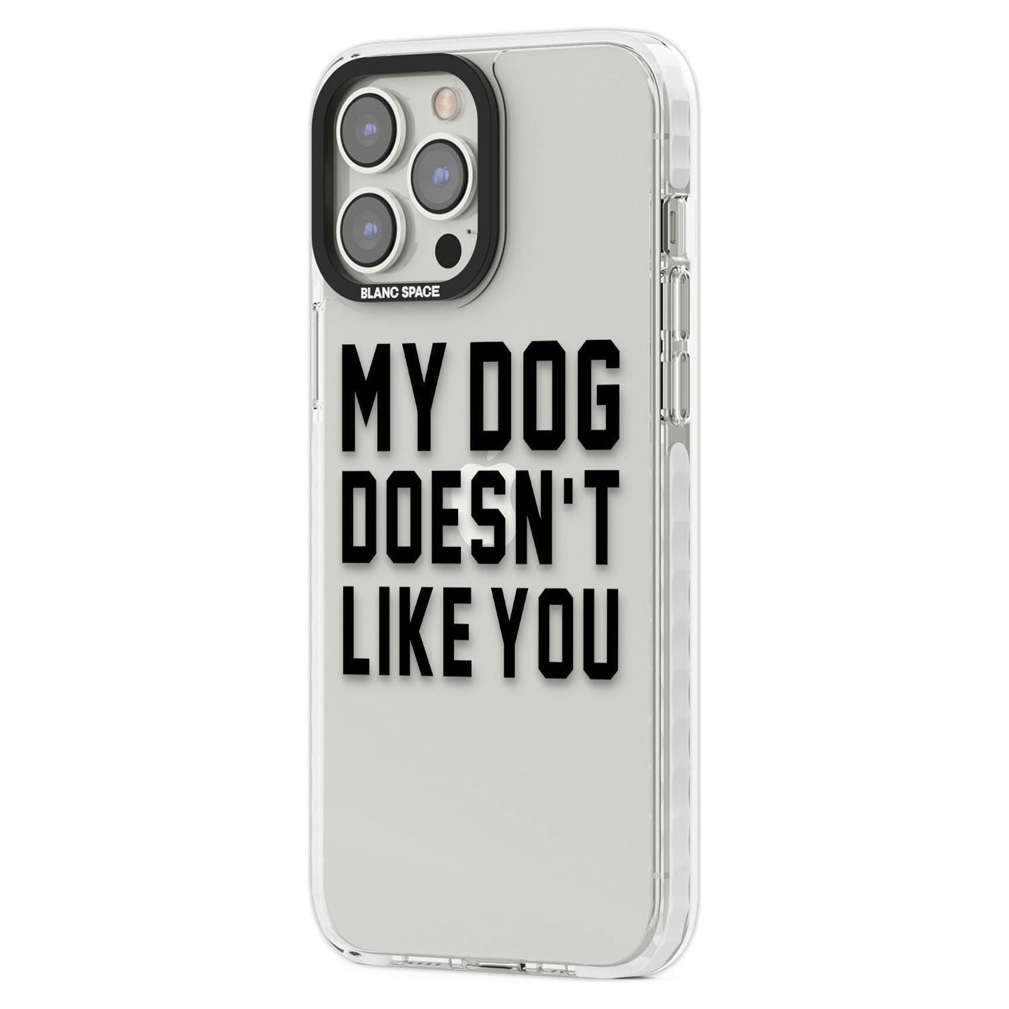 My Dog Doesn'T Like You