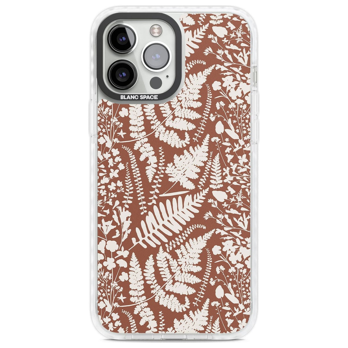 Fleurs sauvages et fougères sur terre cuite