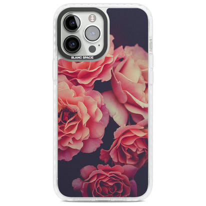 Mitternachtsrosenblüte