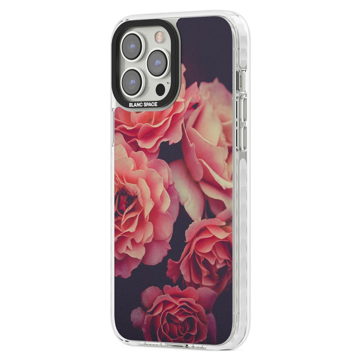 Mitternachtsrosenblüte