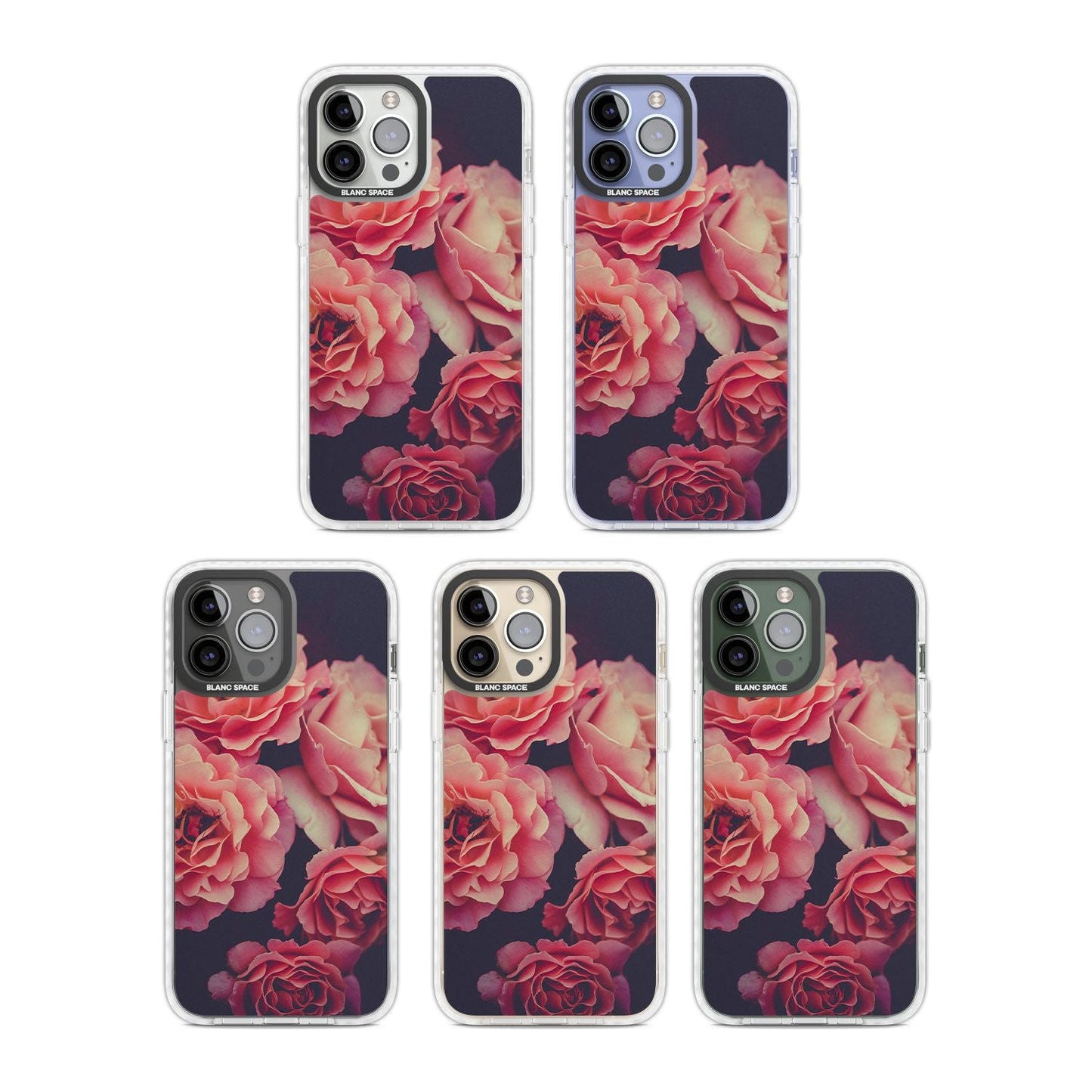 Mitternachtsrosenblüte