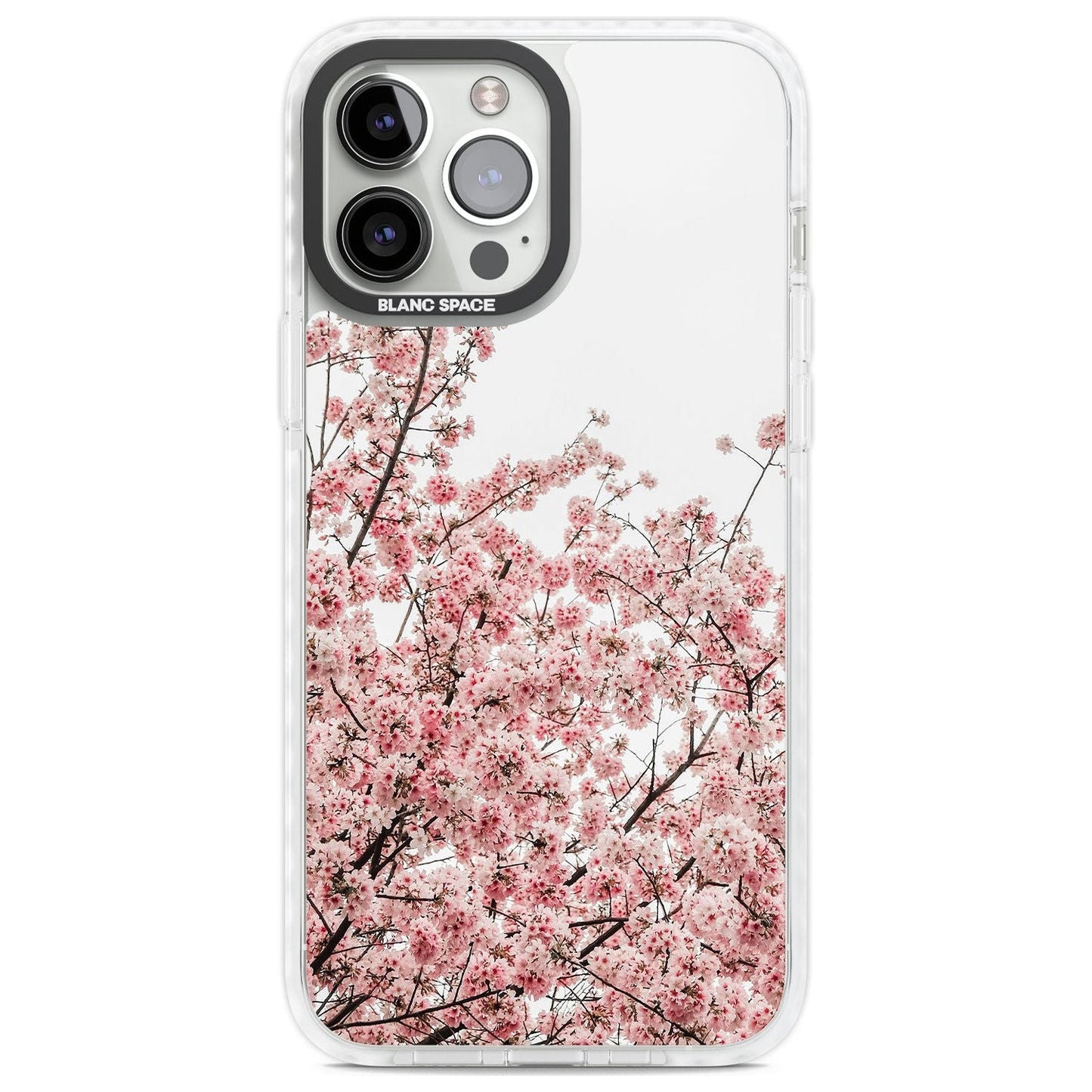 Cherry Blossom Bloom