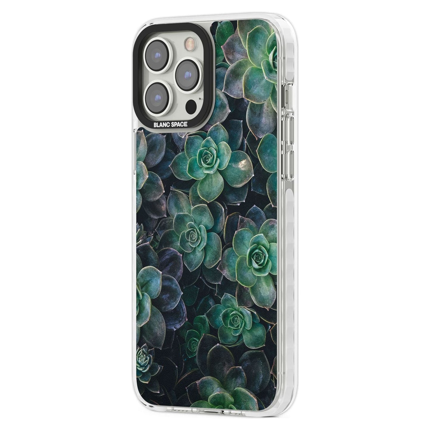 Succulent Bloom Botanical