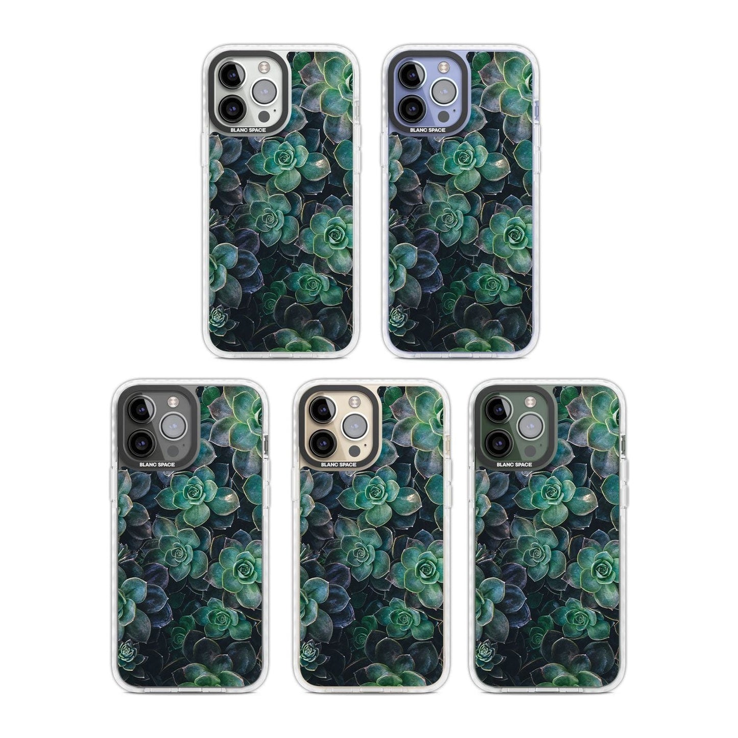 Succulent Bloom Botanical