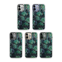 Succulent Bloom Botanical