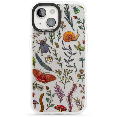 Insectes et fleurs sauvages