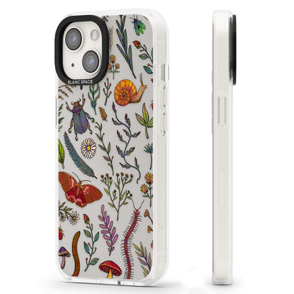 Insectes et fleurs sauvages