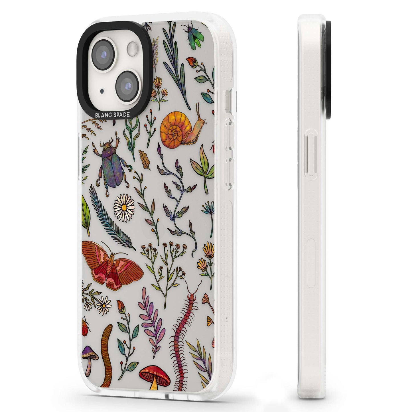 Insectes et fleurs sauvages