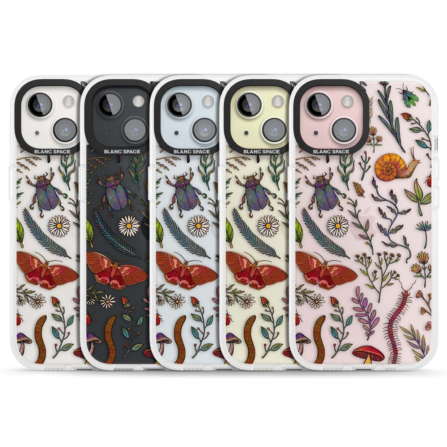 Insectes et fleurs sauvages