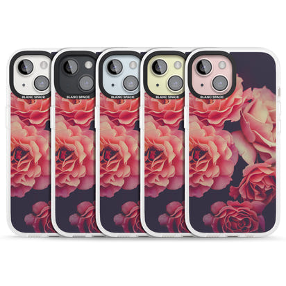 Mitternachtsrosenblüte