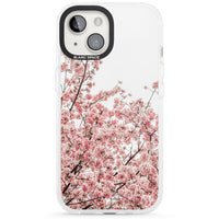Cherry Blossom Bloom